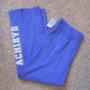 NWT Danskin Now 2X 18/20W Graphic Flare Joggers Track Pants Pull On Achieve Blue